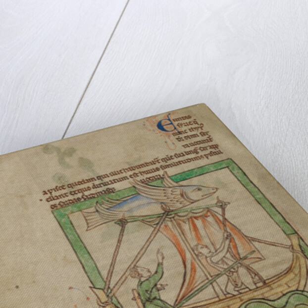 A Flying Fish by Anonymous