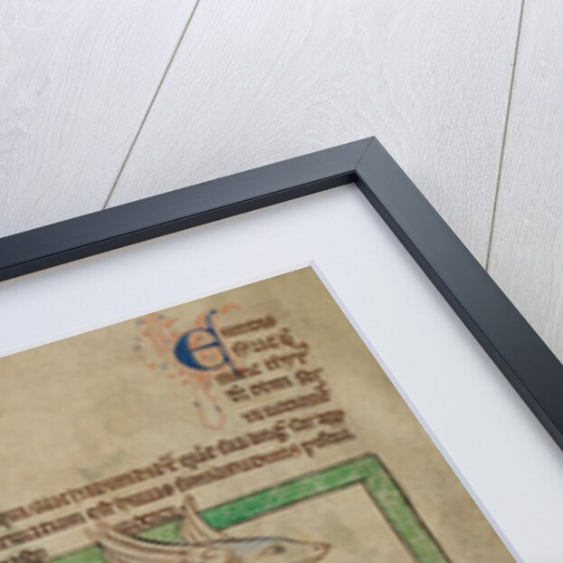 A Flying Fish by Anonymous