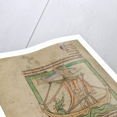 A Flying Fish by Anonymous