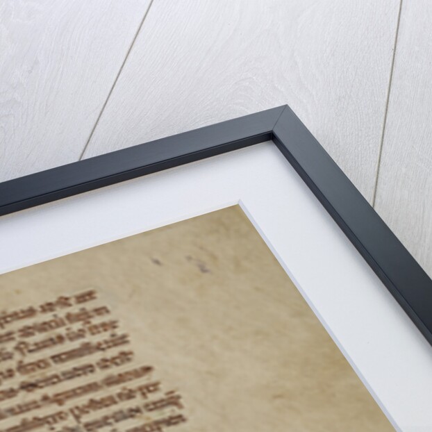 A Sea Creature by Anonymous