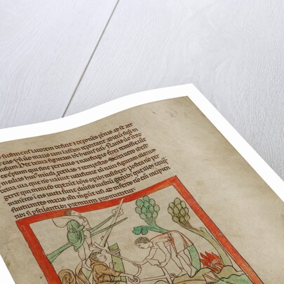 A Sea Creature by Anonymous