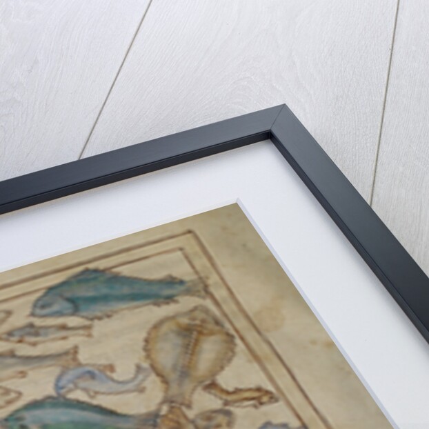 Fish and Sea Monsters by Anonymous