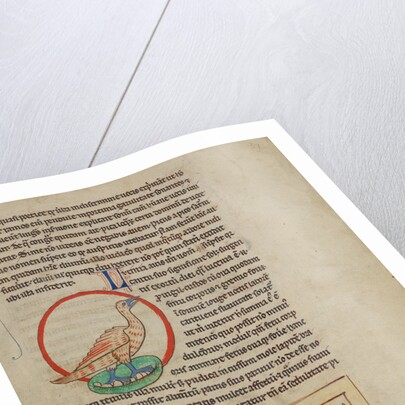 A Nightingale, Bats by Anonymous