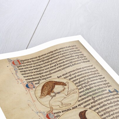 A Raven, A Crow by Anonymous