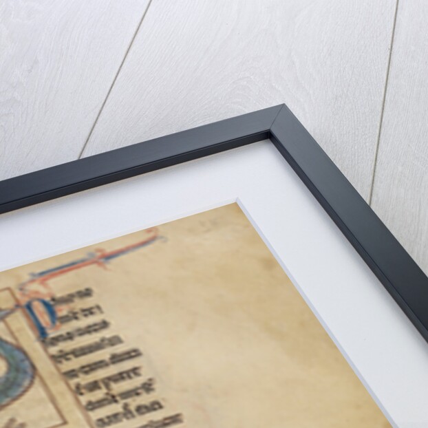 A Peacock, A Rooster by Anonymous