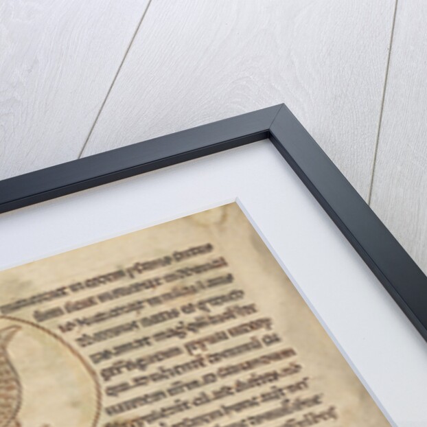 An Owl, Phoenixes by Anonymous