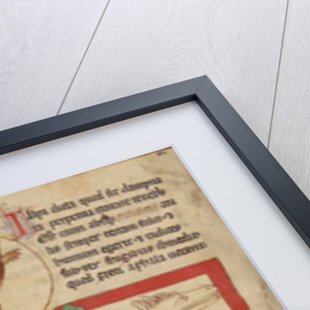 A Mole, A Leucrota by Anonymous