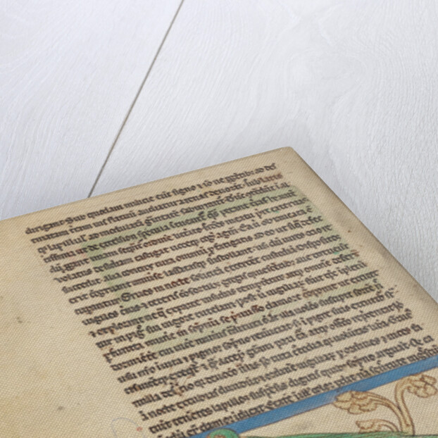 A Parrot by Anonymous