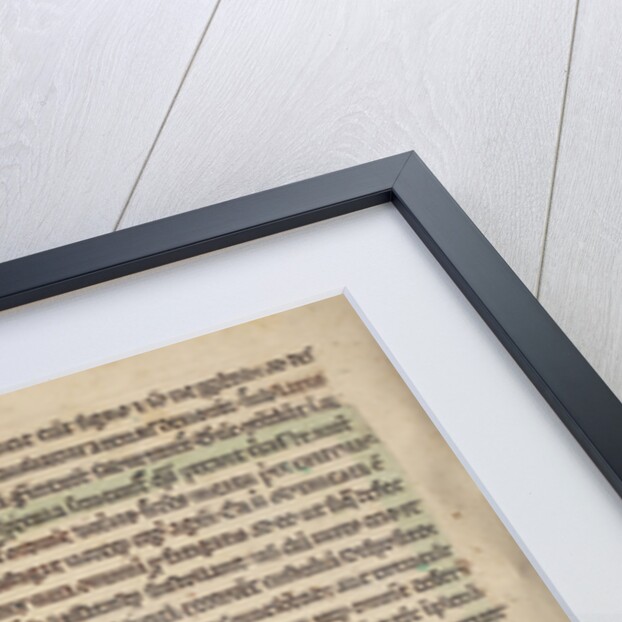 A Parrot by Anonymous