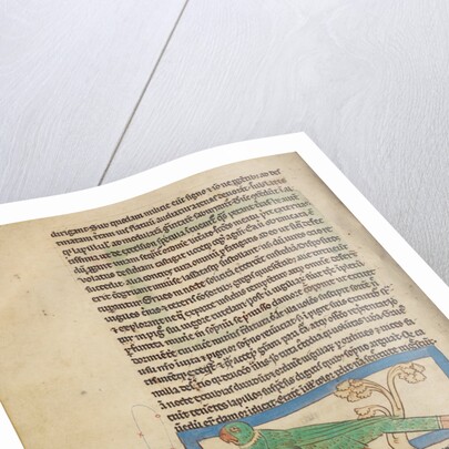 A Parrot by Anonymous