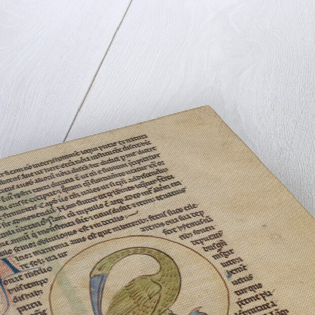 An Alcior by Anonymous