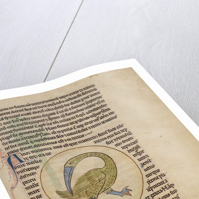 An Alcior by Anonymous