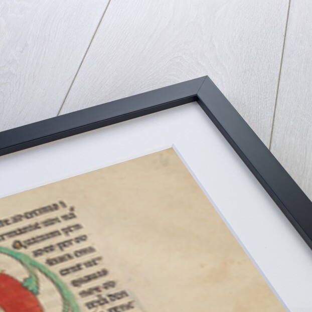 A Hercinia, Partridges by Anonymous