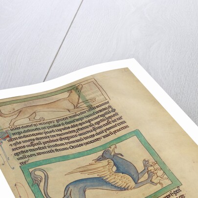 A Lynx, A Griffin by Anonymous