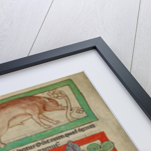 A Wild Boar, A Bonnacon by Anonymous