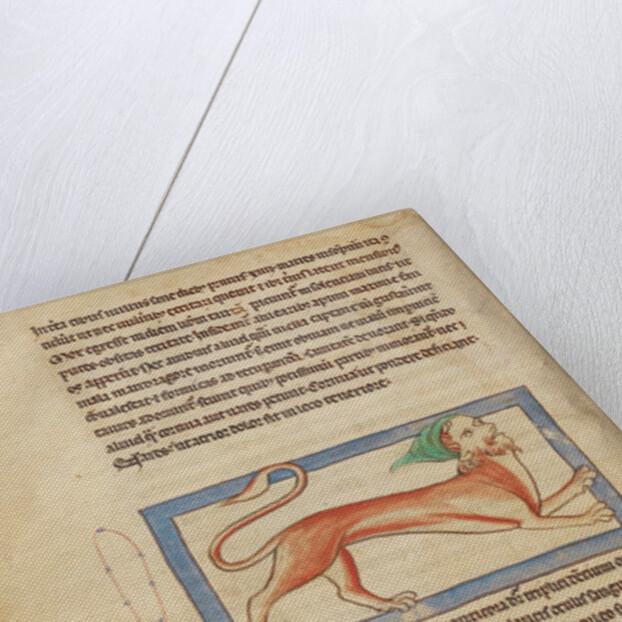 A Manticore by Anonymous