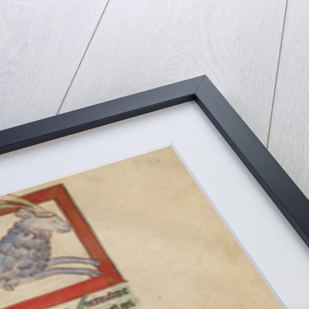 A Parandrus, An Eale by Anonymous