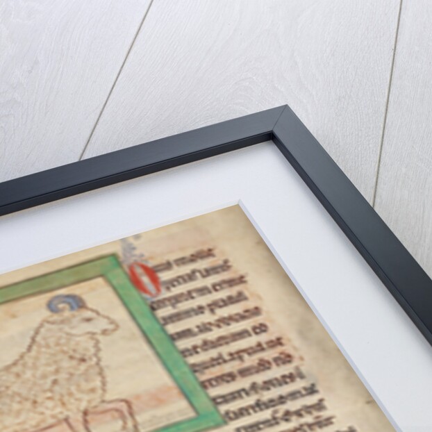 A Sheep, A Ram by Anonymous