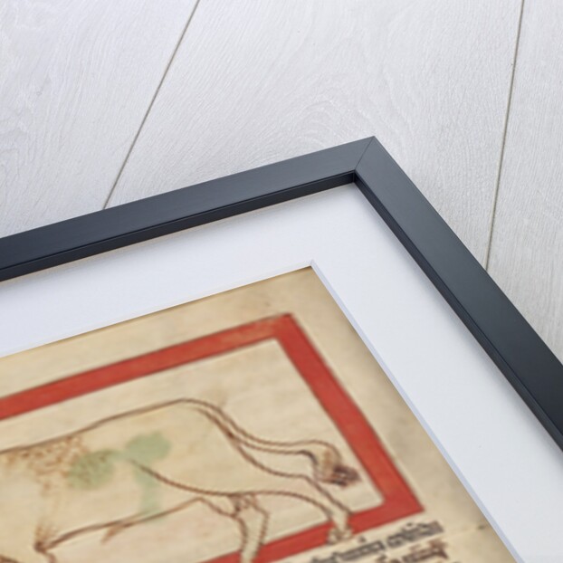 A Bull, An Ox by Anonymous