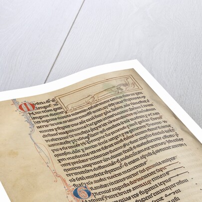 Weasels by Anonymous