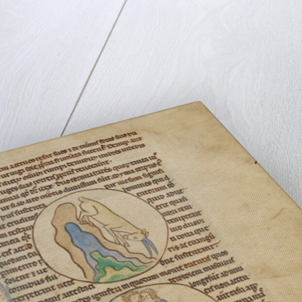 An Ibex, Fire Stones by Anonymous