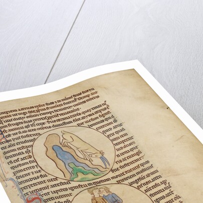 An Ibex, Fire Stones by Anonymous