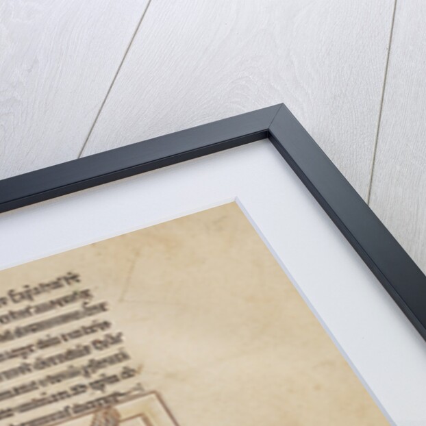 A Wild Donkey by Anonymous