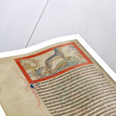 A Panther by Anonymous