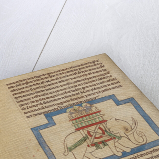 An Elephant by Anonymous