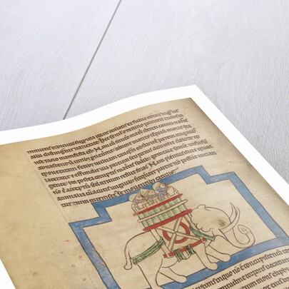 An Elephant by Anonymous