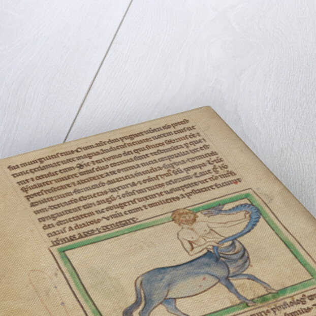 A Monocentaurus by Anonymous