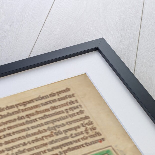 A Monocentaurus by Anonymous