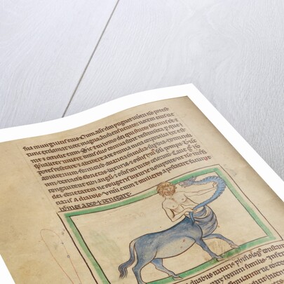 A Monocentaurus by Anonymous