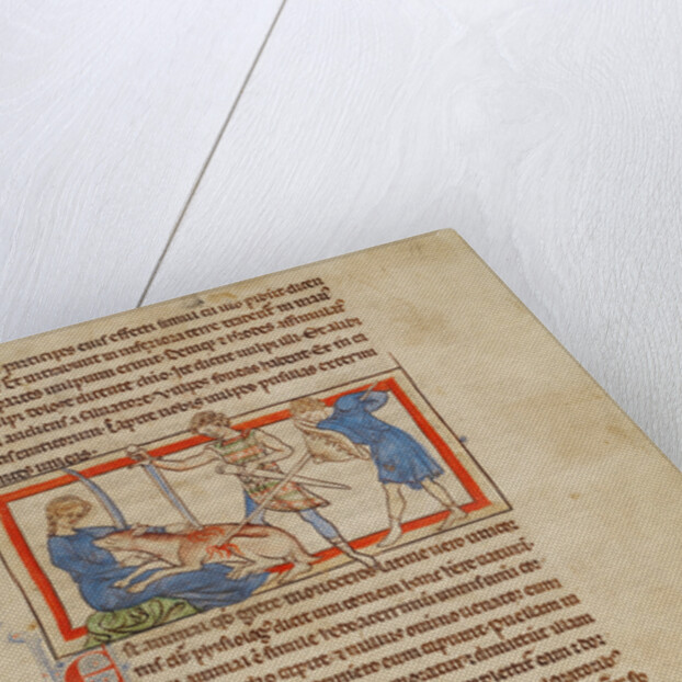 A Unicorn by Anonymous