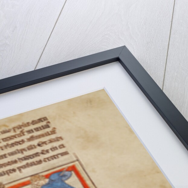 A Unicorn by Anonymous