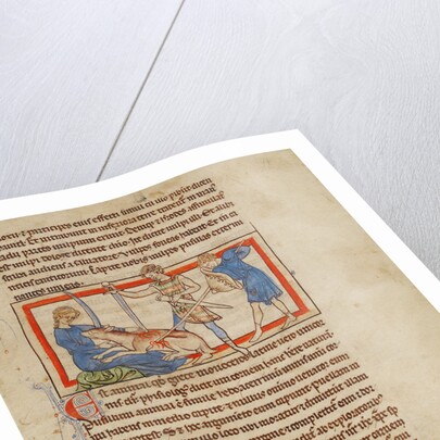 A Unicorn by Anonymous