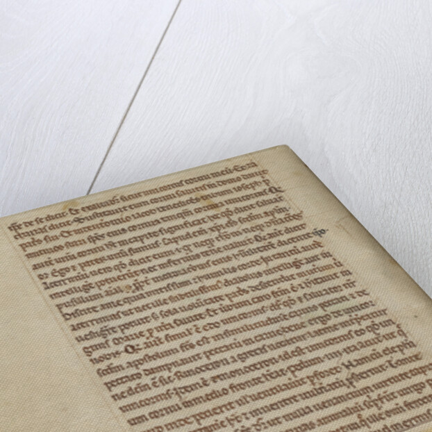 A Beaver by Anonymous