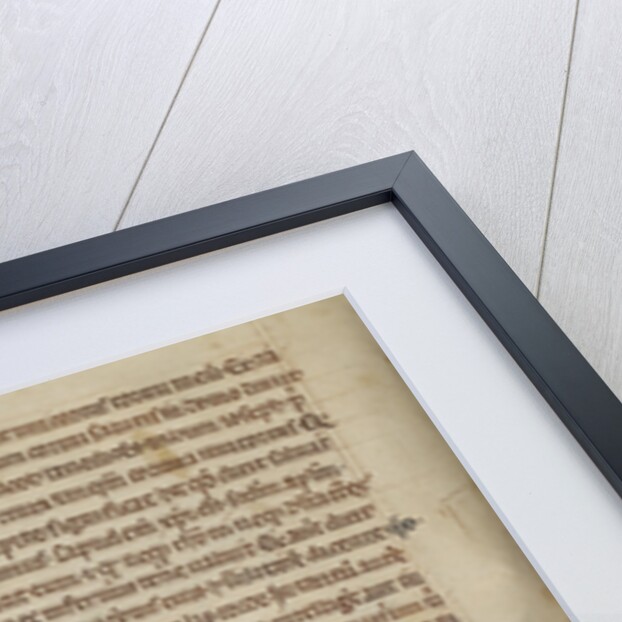 A Beaver by Anonymous