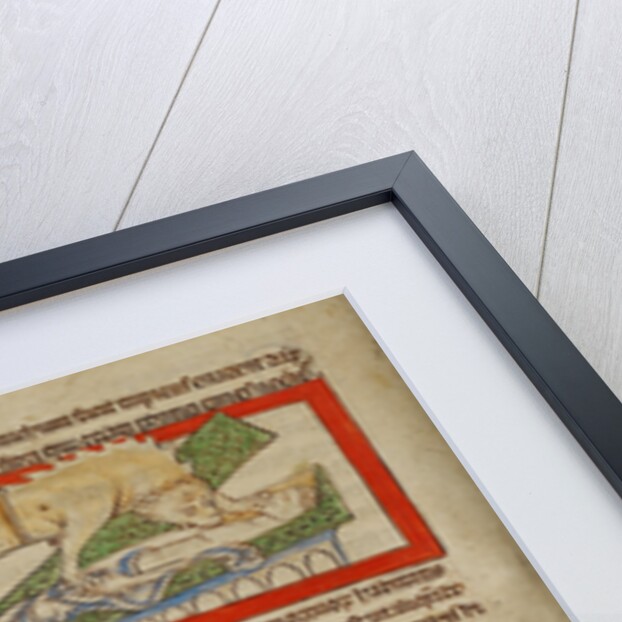 A Hyena by Anonymous