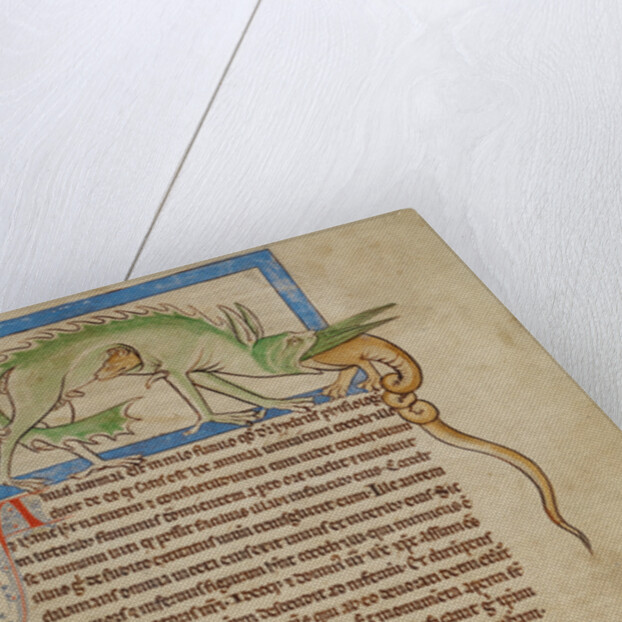 A Hydrus, A Hydra by Anonymous