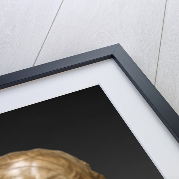 The Vexed Man by Franz Xaver Messerschmidt