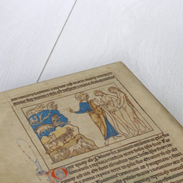 The Creation of the Animals and of Adam and Eve by Anonymous