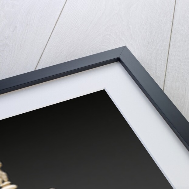 Ivory Goblet by Balthasar Griessmann