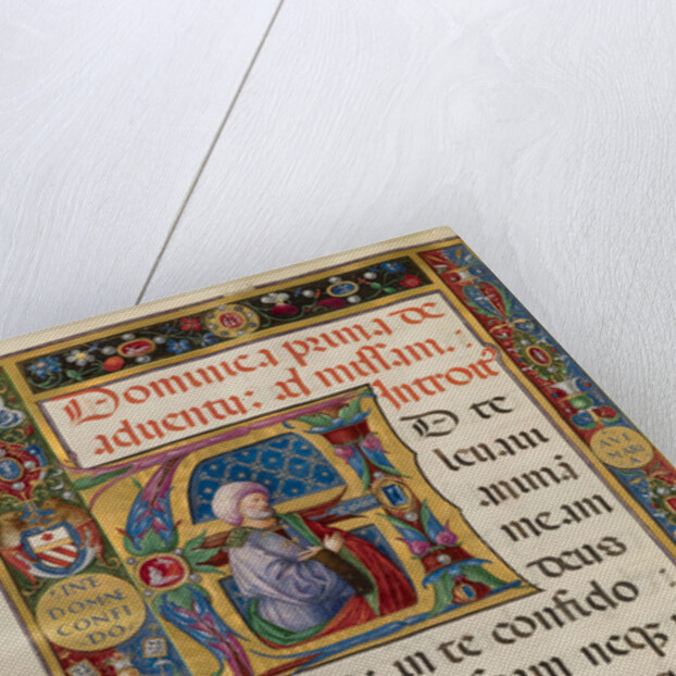 Initial A: King David by Matteo da Milano