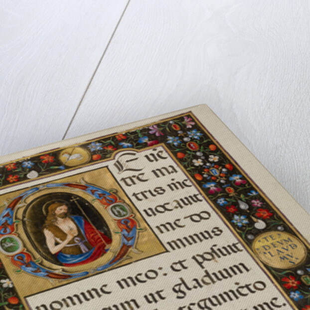 Initial D: Saint John the Baptist by Matteo da Milano