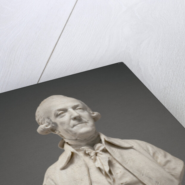 Bust of Marie-Sébastien-Charles-François Fontaine de Biré by Jean-Antoine Houdon