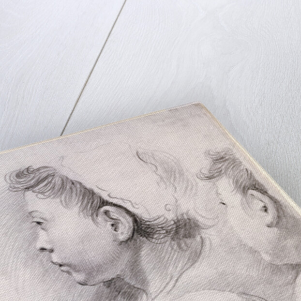 Three Studies of the Head of a Youth by Francesco Salvator Fontebasso