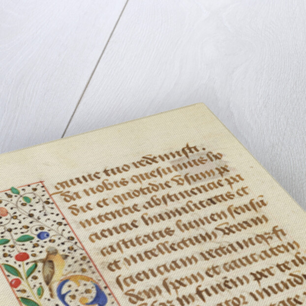 Decorated Text Page by Anonymous