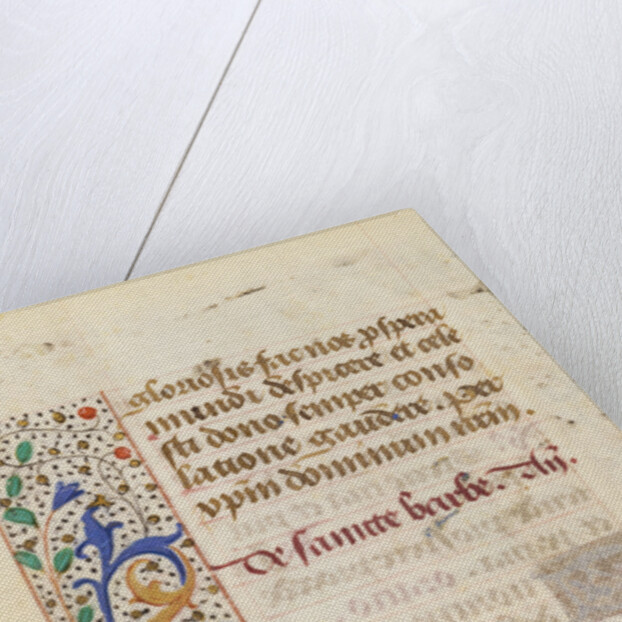 Decorated Text Page by Anonymous