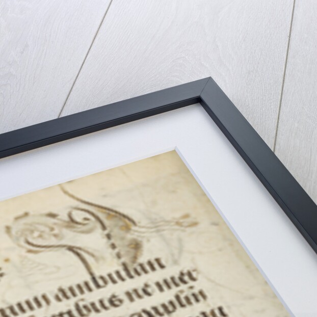 Decorated Text Page by Nicolas Spierinc